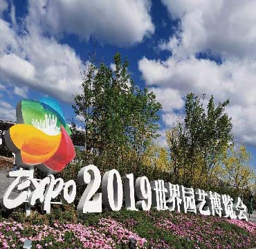 2019北京世界园艺博览会——上海广拓振动光纤系统